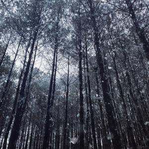 亚洲综合国产二区日韩精品
