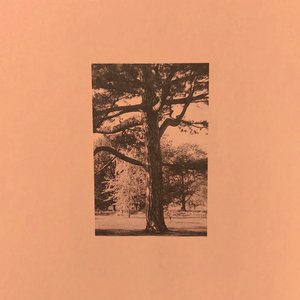 亚洲综合国产二区日韩精品
